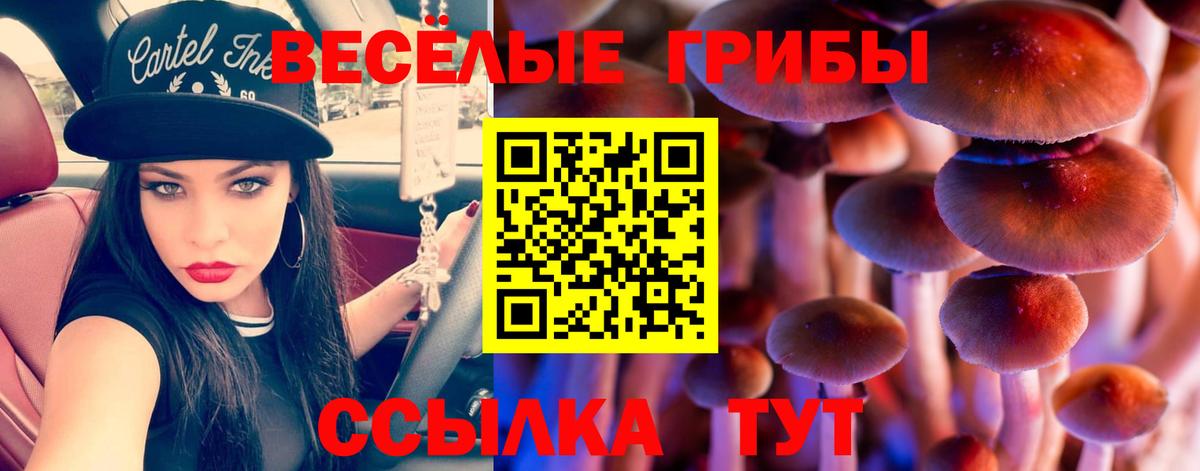 Галлюциногенные грибы MAGIC MUSHROOMS  Галлюциногенные грибы Magic Shrooms  Вход с VPN  Звенигород 